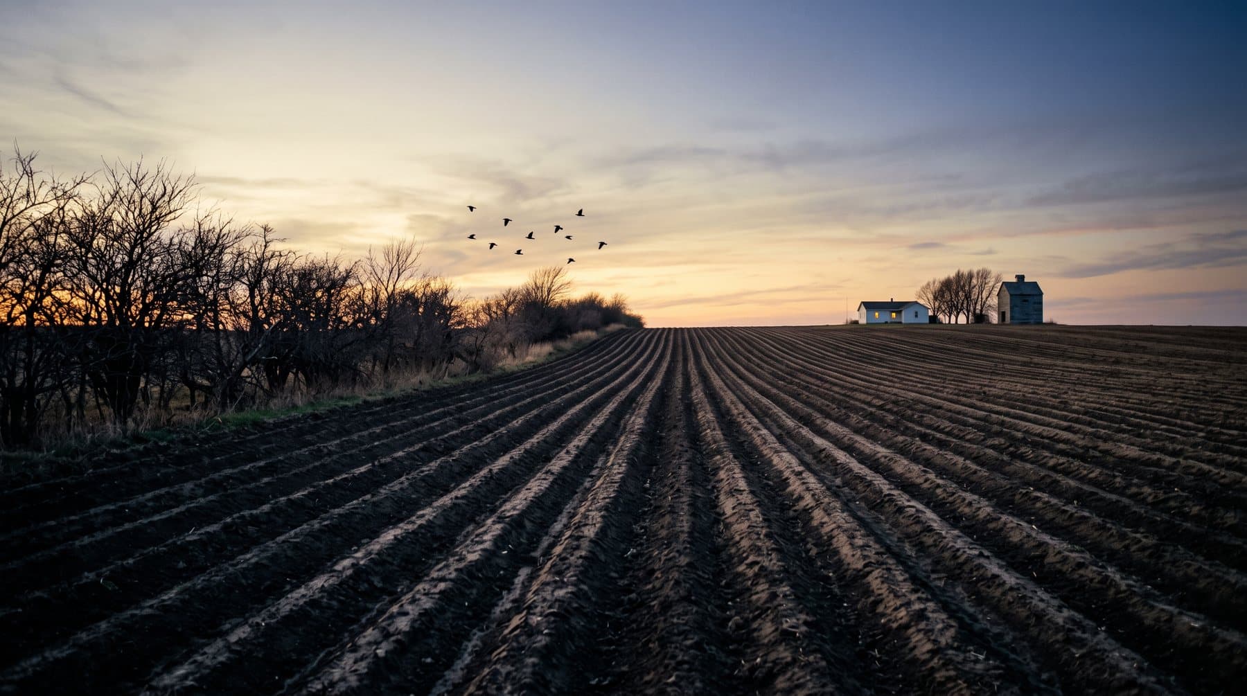 A long ploughed field at dusk under a wide sky, a single hedge line along its edge